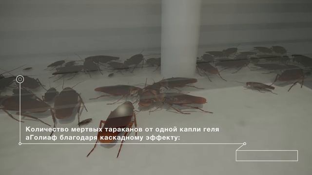 ГОЛИАФ® (Goliath) гель - мощный гель против тараканов! смотреть онлайн