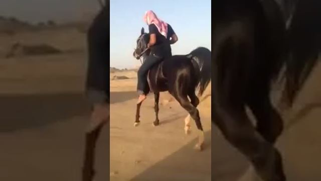 Араб на коне ) смотреть онлайн