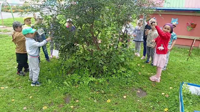 Яблочный спас смотреть онлайн