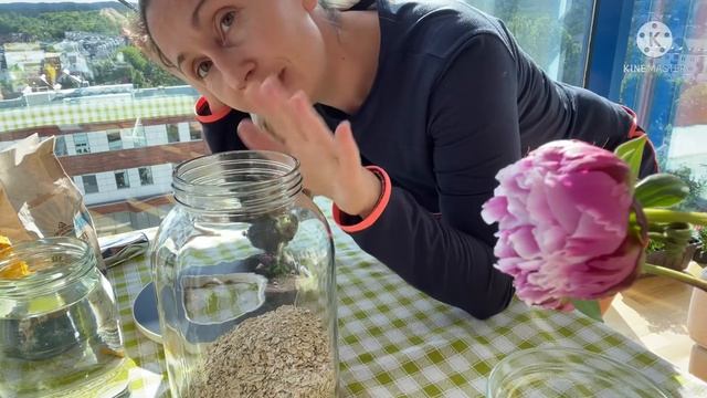 Кисель Изотова .Закваска смотреть онлайн