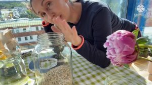 Кисель Изотова .Закваска