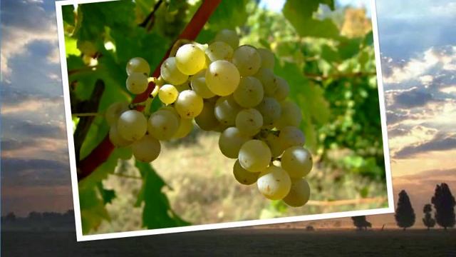 Istoria Moldovei Din Cele Mai Vechi Timpuri Pînă în Prezent