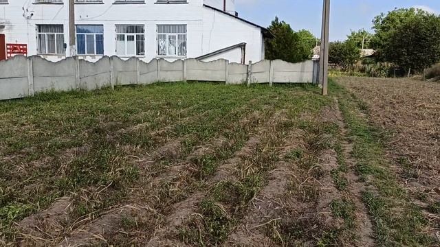 Уборка сорняка, на картошке. смотреть онлайн