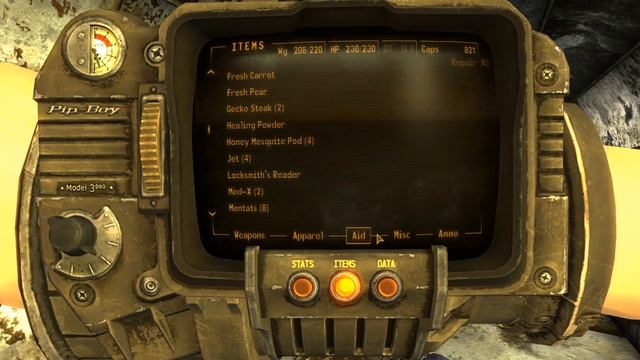 Speedy FNV смотреть онлайн