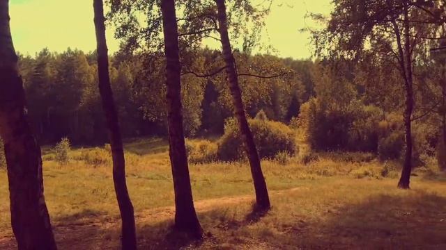 Наталья Иванова. «Животворящая любовь» от 8.12.2018 смотреть онлайн