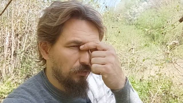 Формирование запрета на жизнь. Блок на проработку смотреть онлайн