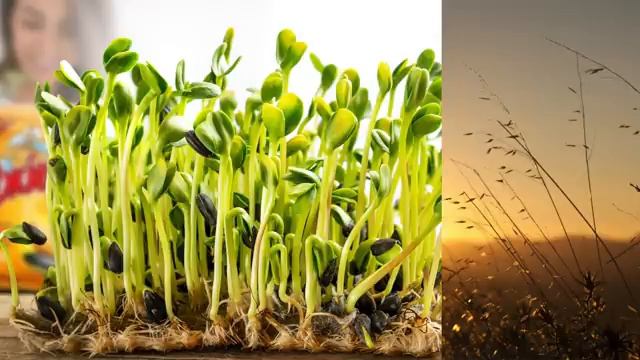 Дизайн КОМНАТЫ для троих. Детская 13 метров. смотреть онлайн