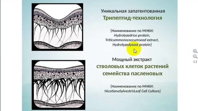 NovAge Людмила Глебова 22 ноября 1 смотреть онлайн