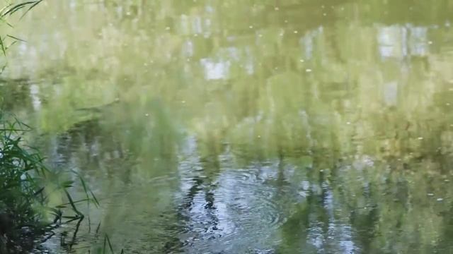 Валерий Сёмин и Марина Селиванова "Любовь моя". Клип, 2016г. смотреть онлайн