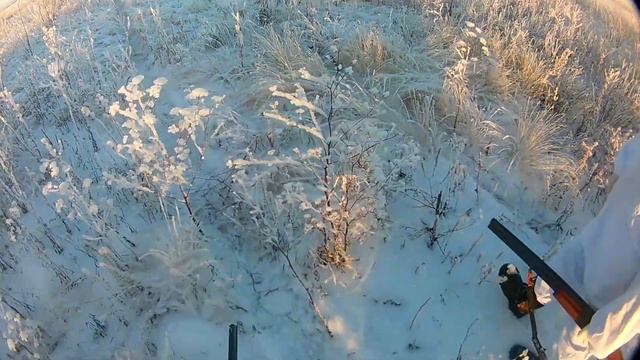 ОДНА ГОЛОВА ХОРОШО, А ДВЕ ЛУЧШЕ. "Тропление зайца по ковылю" смотреть онлайн