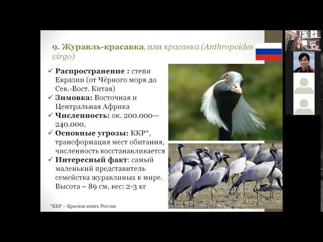 В гости к журавлям смотреть онлайн