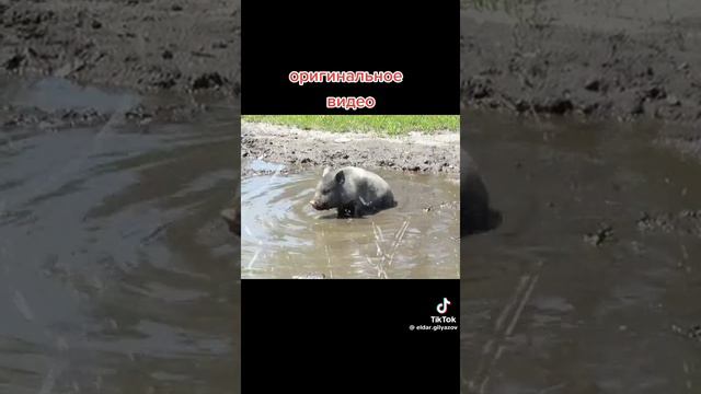 Как прошли выходные ?😂 смотреть онлайн