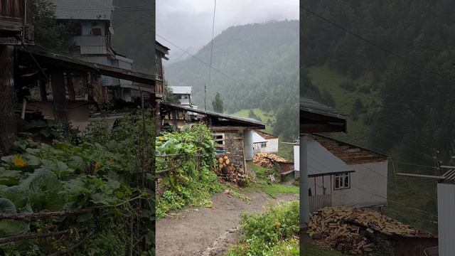 Дождь 🌧️ Хибятли # shorts смотреть онлайн