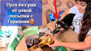 Распаковка посылки для хвостиков. Смогла ли я поймать Персика?!