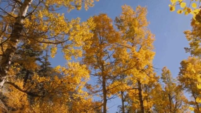 Осень.Перелет журавлей\для расслабления\..Autumn.Nature,flights of cranes смотреть онлайн