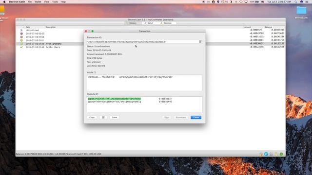 #3 Electron Cash Tutorials: The History Tab смотреть онлайн