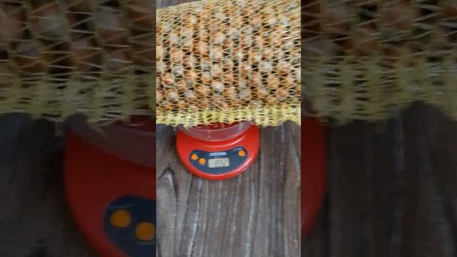 Как обвешивают на весах людей в Краснодарском крае смотреть онлайн