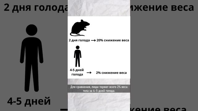 Сколько голодать для достижения аутофагии?