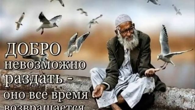 Мудрые мысли, полезные цитаты для всех и каждого 1 смотреть онлайн
