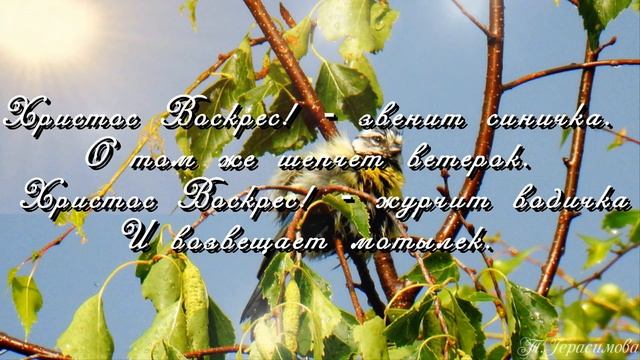 Поздравление с праздником Светлой Пасхи Христос Воскрес! смотреть онлайн