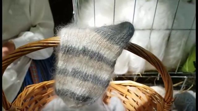 Ярмарка в музее под открытом небом в Риге. Пряжа дундага. Самопрядная ангора. смотреть онлайн