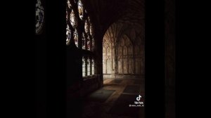 подборка видео из тт Теодор нотт и Т/и??