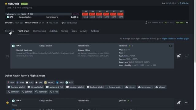 Kaspa Mining - 3060 Ti Hashrate and Overclock - Hiveos смотреть онлайн