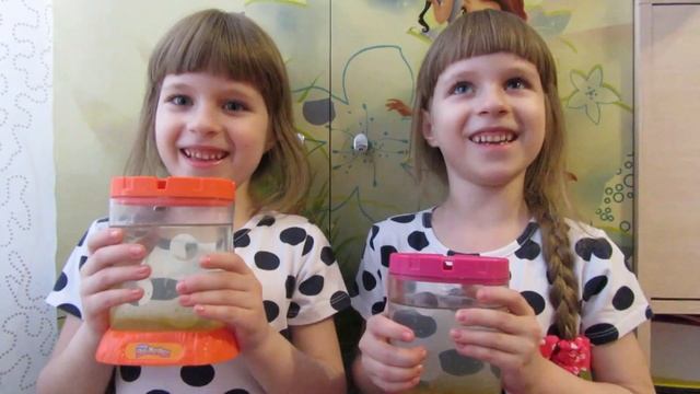 Sea Monkeys | Выращивание креветок | Эксперимент #SeaMonkeys #Царевны #Двецаревны #Морскиеобезьянк смотреть онлайн