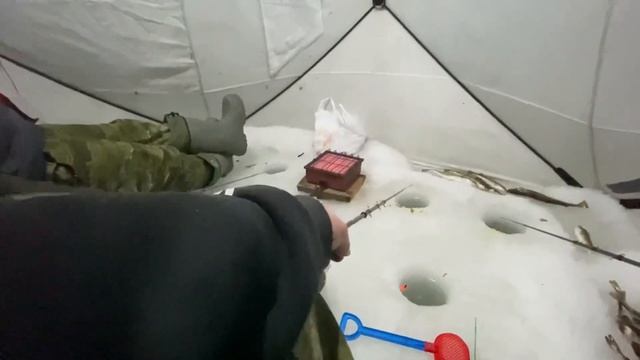 Ловля Наваги в Приморском крае смотреть онлайн