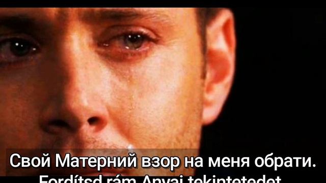 Ты моя Матерь - Хор Почаевской Лавры | Te Vagy Az Anyám - Egy Ortodox Ének Része