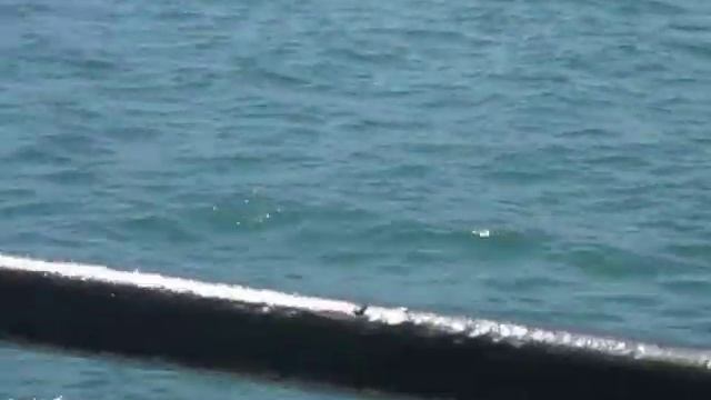 Новороссийск.Поездка на катере. смотреть онлайн