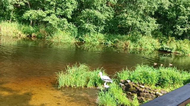 Оковецкий Святой Источник.