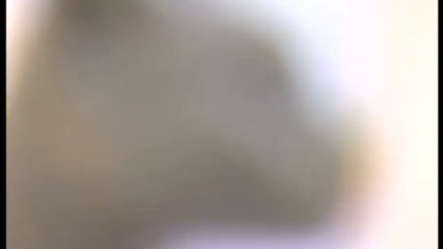 Юбилей ДХШ смотреть онлайн