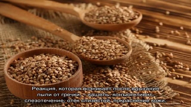 Может ли возникнуть аллергия на гречку у взрослых смотреть онлайн