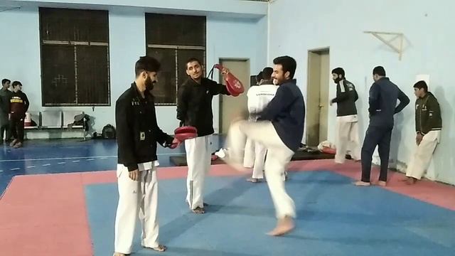 Live Training . National Taekwondo#karate #online #mixmartialart