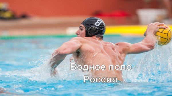 ВОДНОЕ ПОЛО Трансляция водного поло, Динамо (Москва) -  Спартак (Волгоград)