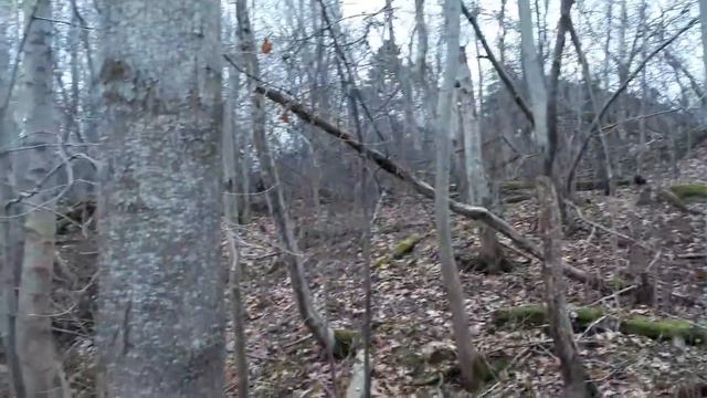 Барри у серого моря. смотреть онлайн