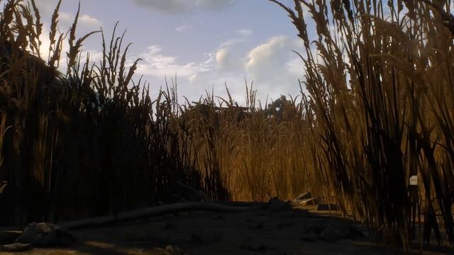 Witcher 3 FIRST PERSON CAMERA REWORKED - White Orchard demo смотреть онлайн
