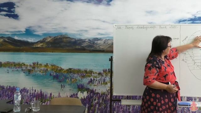 27.08.2017 г. Токарева Н.П. Большой семинар. Краснодар. День-3. смотреть онлайн