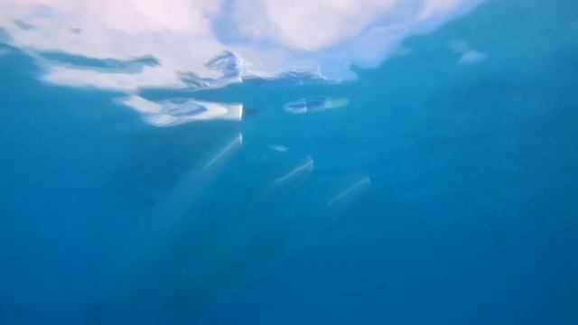 Новые Изобретения На Совершенно Новом Уровне смотреть онлайн