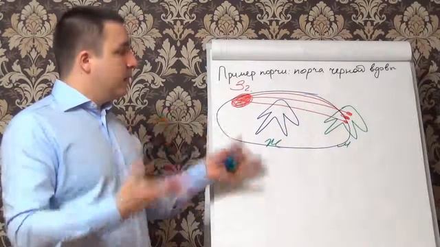 Порча черной вдовы — пример порчи, сглаз человека смотреть онлайн