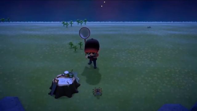Funny Moments - Tarantula Hunting In Animal Crossing New Horizons смотреть онлайн