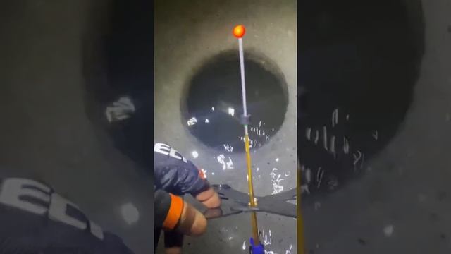 9 бент . Рыбалка . Подлёдная рыбалка. Зимняя рыбалка  #carpfishing #обзор #carp #fish #norfin