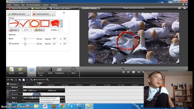 программа Camtasia Studio 7 смотреть онлайн