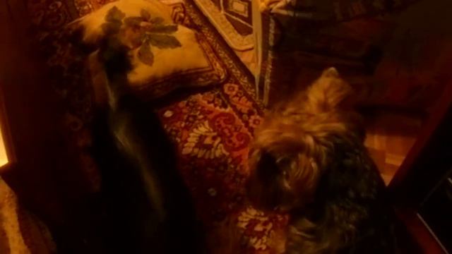 Главней всего порядок в доме))) смотреть онлайн