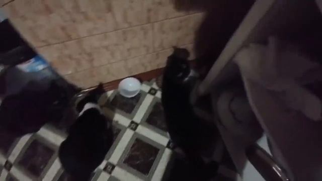 ? ДЕД НА СВЯЗИ. НА ХУТОРЕ ЖИВЕТ СТАДО. КОПТИМ ВМЕСТЕ. смотреть онлайн