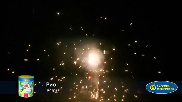 P4510