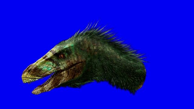 Бесплатная анимация Динозавр Голова Раптора - Раптор Футаж для монтажа Хромакей смотреть онлайн