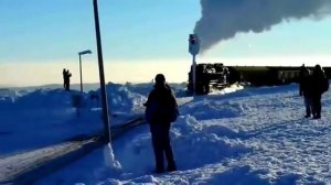 Модерн токинг сежный