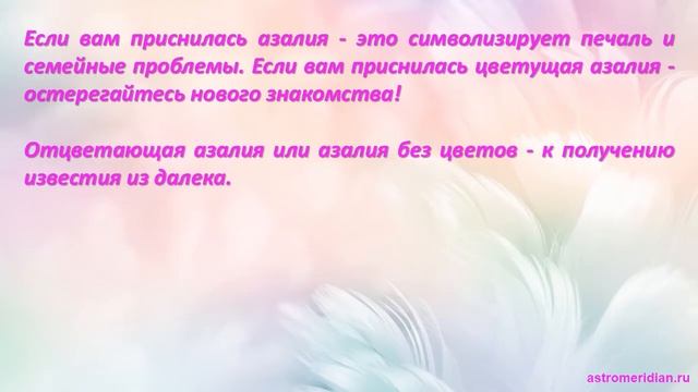 К чему снится Азалия смотреть онлайн